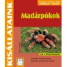 Madárpókok