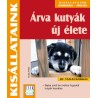 Árva kutyák új élete