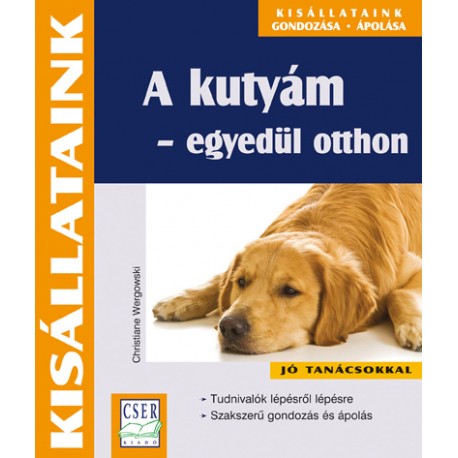 A kutyám - egyedül otthon