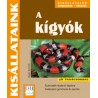 A kígyók