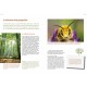 Permakultúra Kézikönyv - Együttműködés a természettel