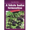 A fekete bodza termesztése