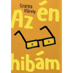 Az én hibám (regény, 2. kiadás)