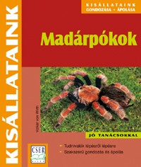 Madárpókok