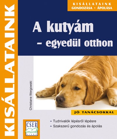 A kutyám - egyedül otthon