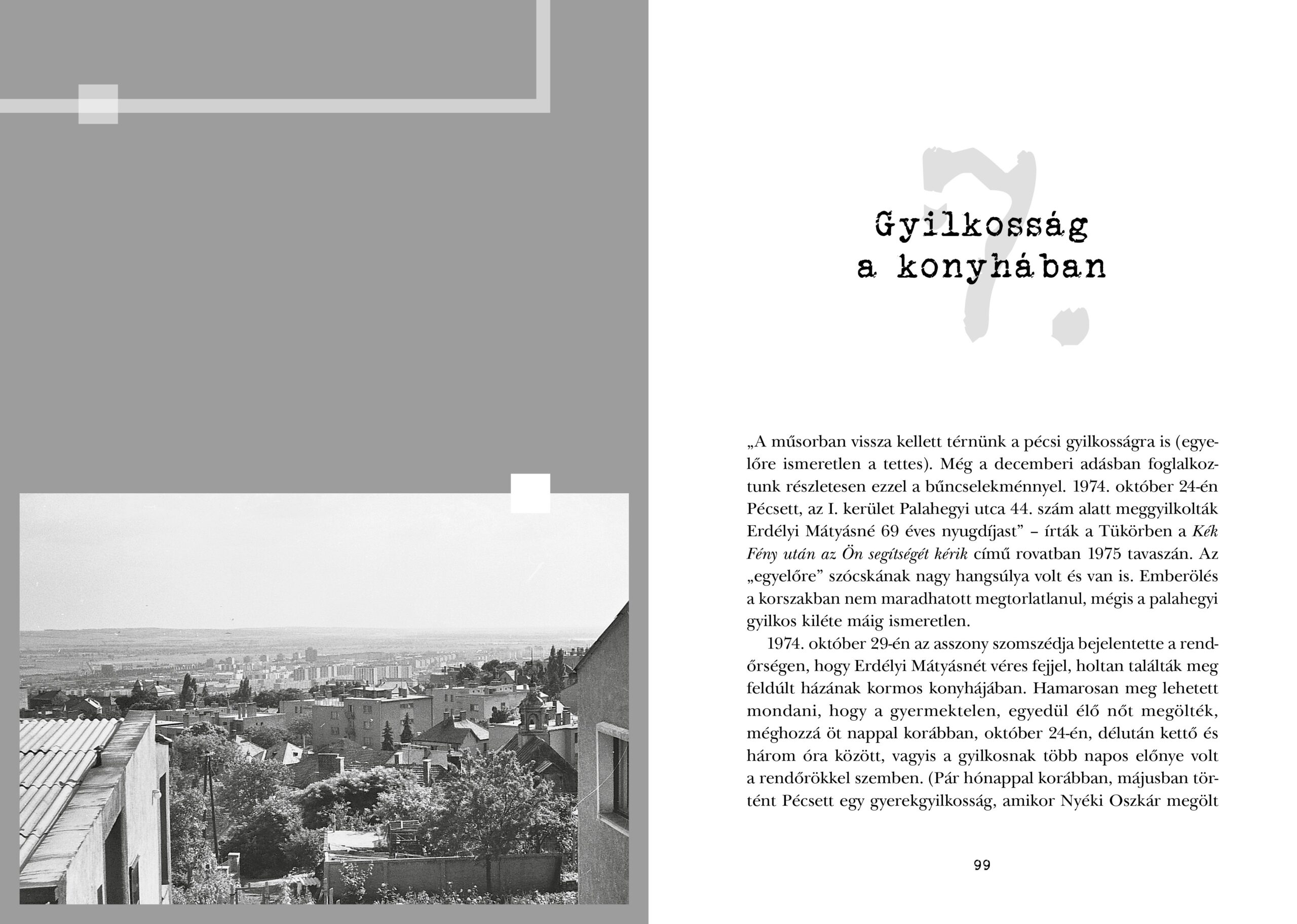 Gyilkosság a panel tetején - Image 2