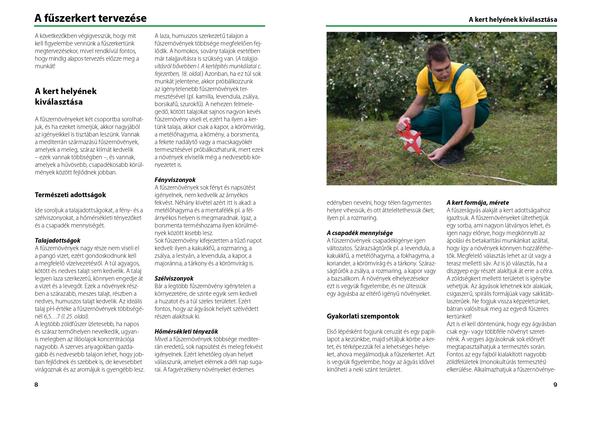 Zöldfűszerek - termesztéstől felhasználásig - Image 2