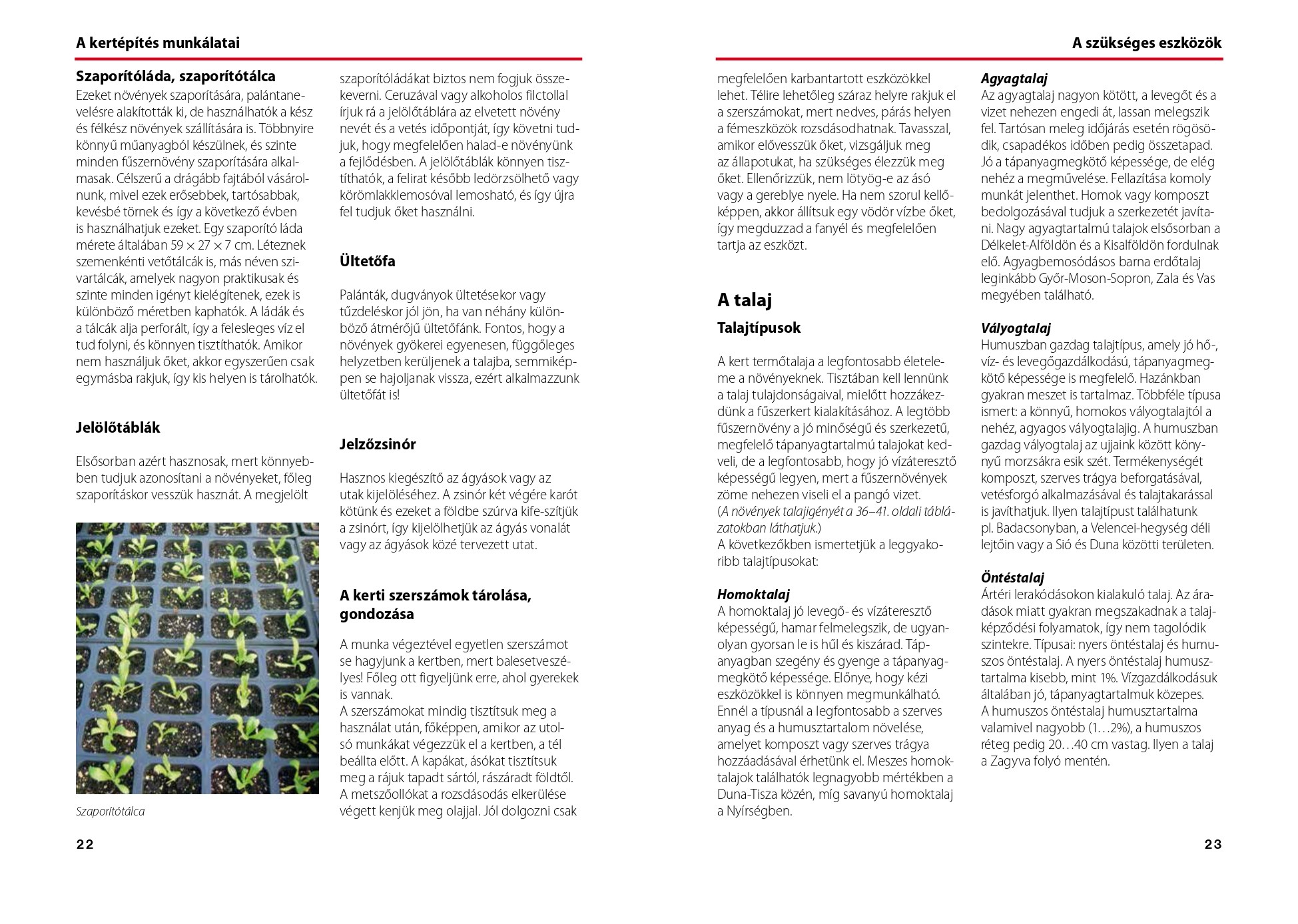 Zöldfűszerek - termesztéstől felhasználásig - Image 3