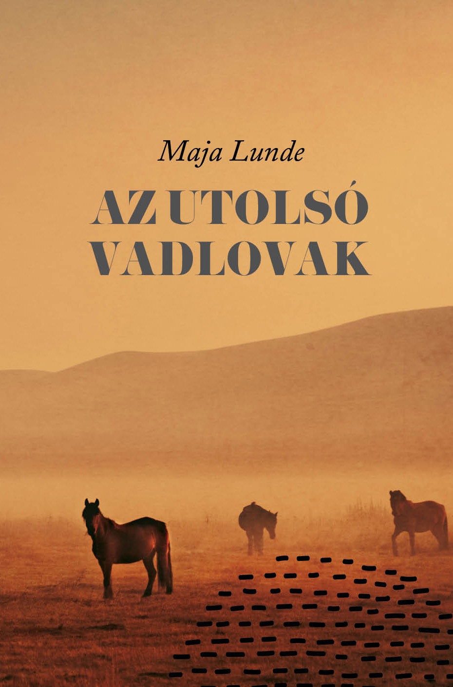 Az utolsó vadlovak e-könyv