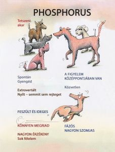 Homeopátiás szerek állatoknak - Image 2