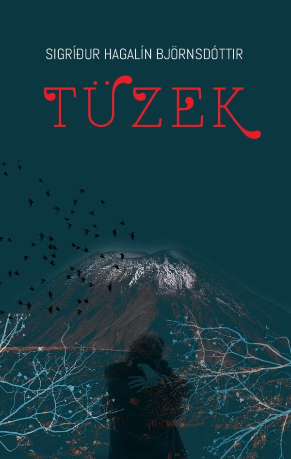 Tüzek