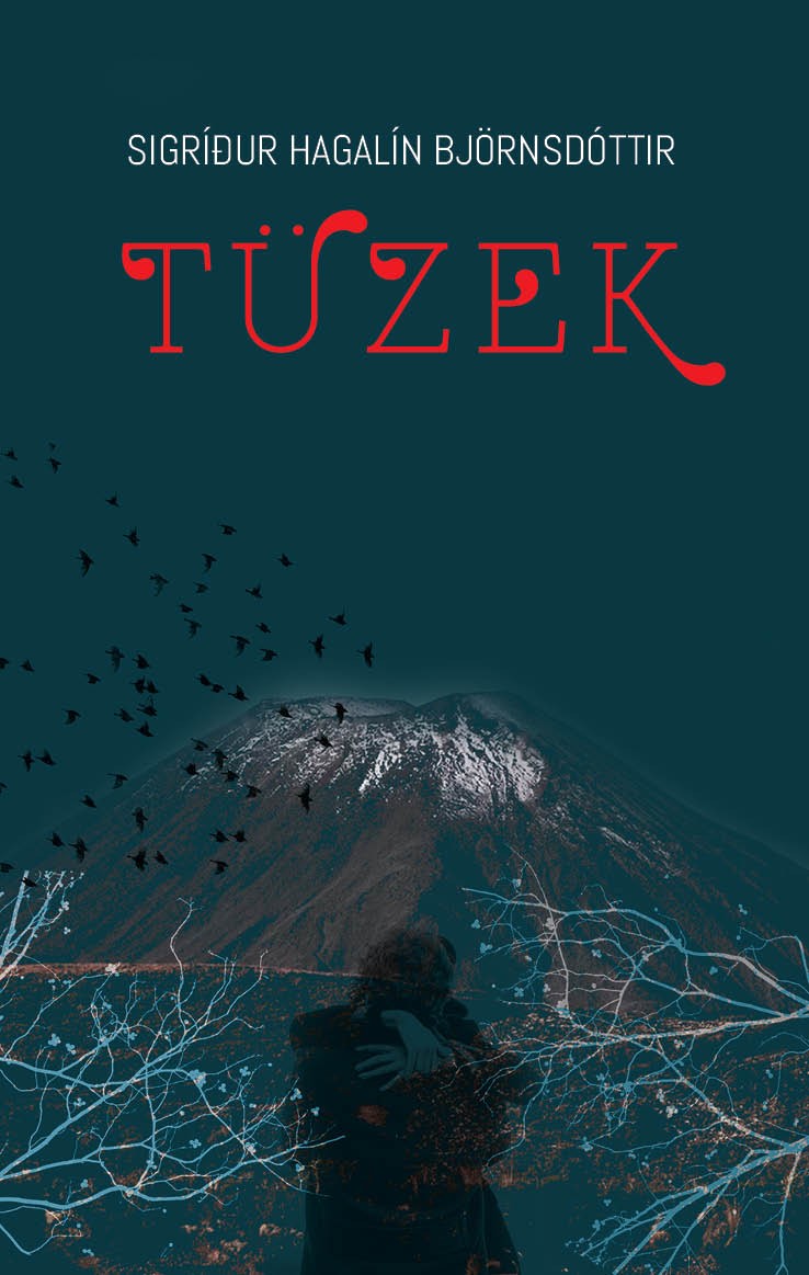 Tüzek