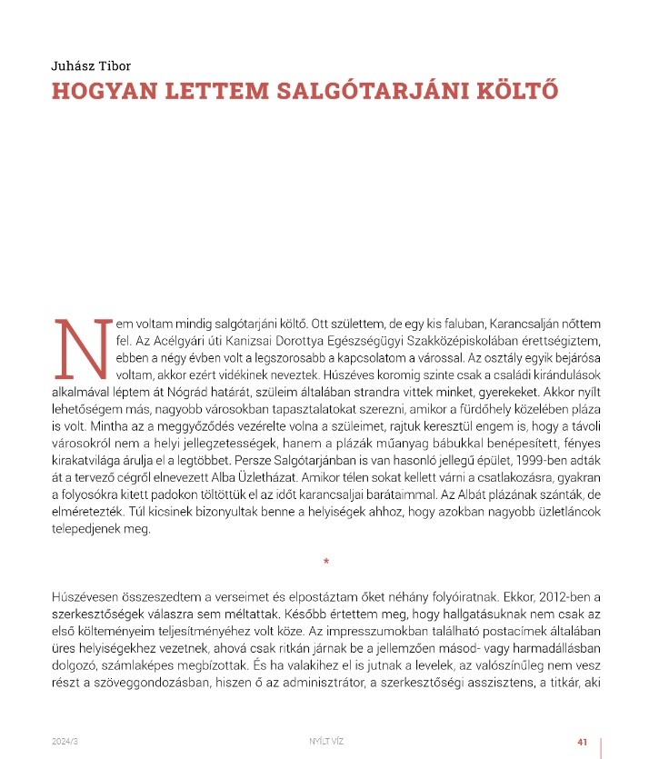 Hévíz 2024/3 Tűzfal - Image 3
