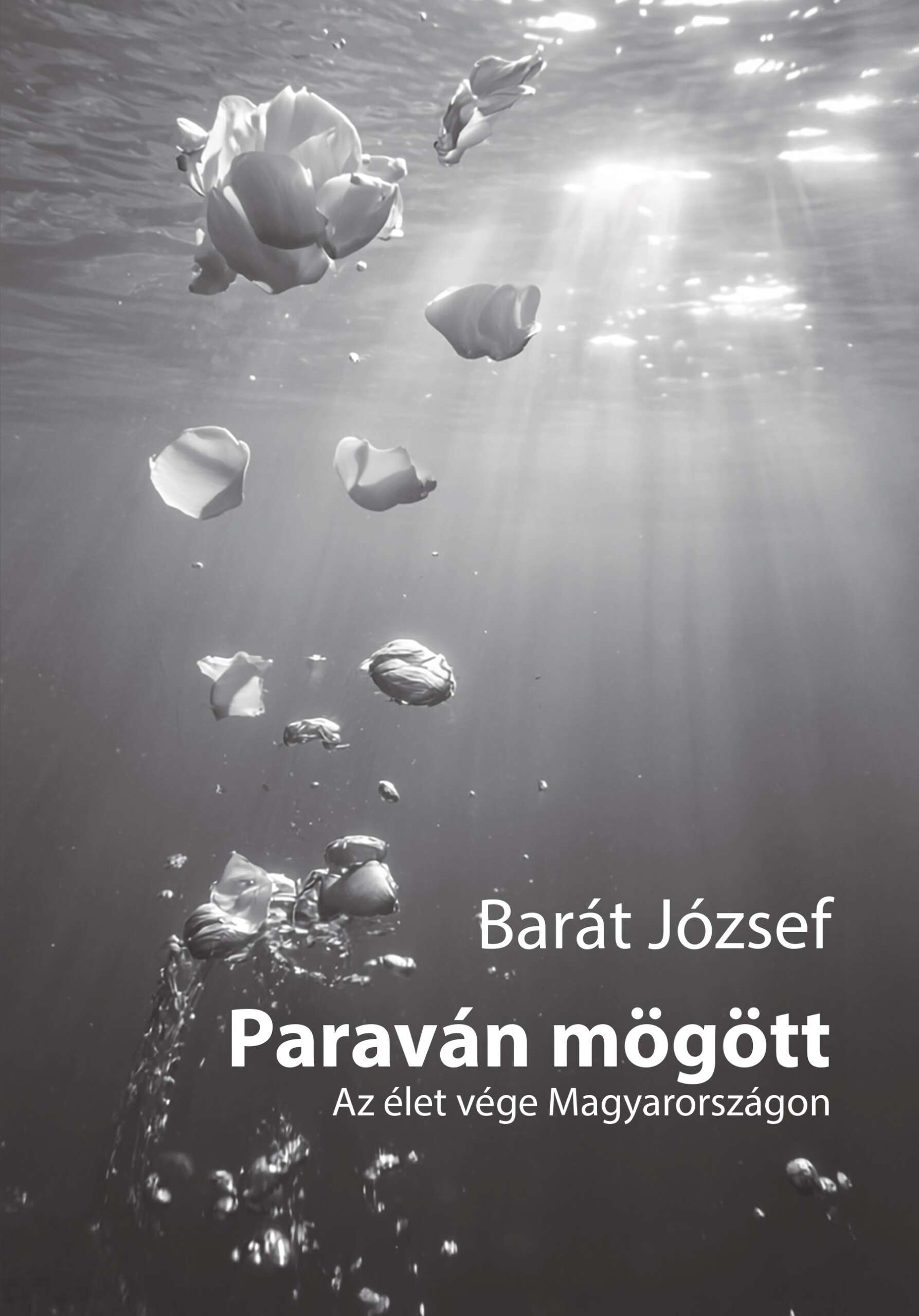 Paraván mögött – Az élet vége Magyarországon