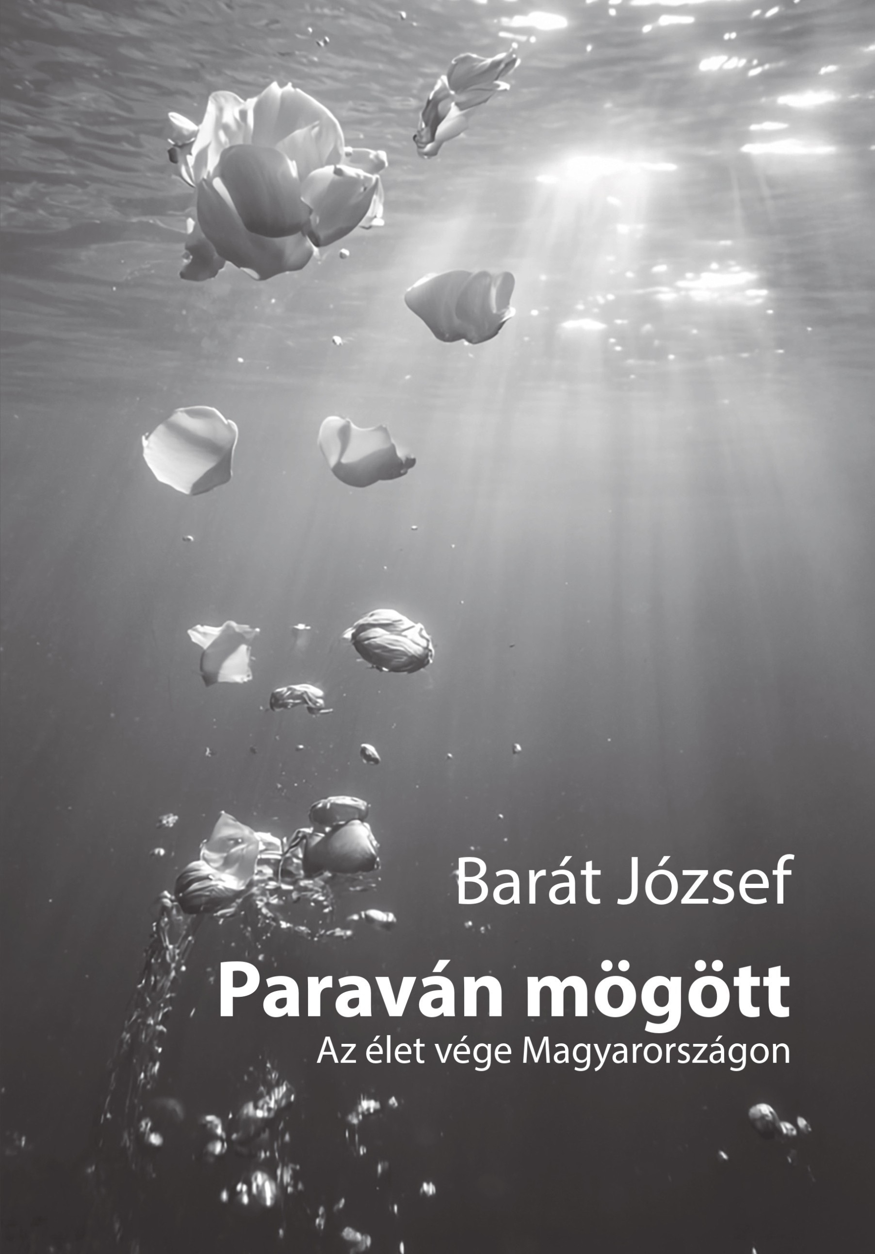 Paraván mögött e-könyv