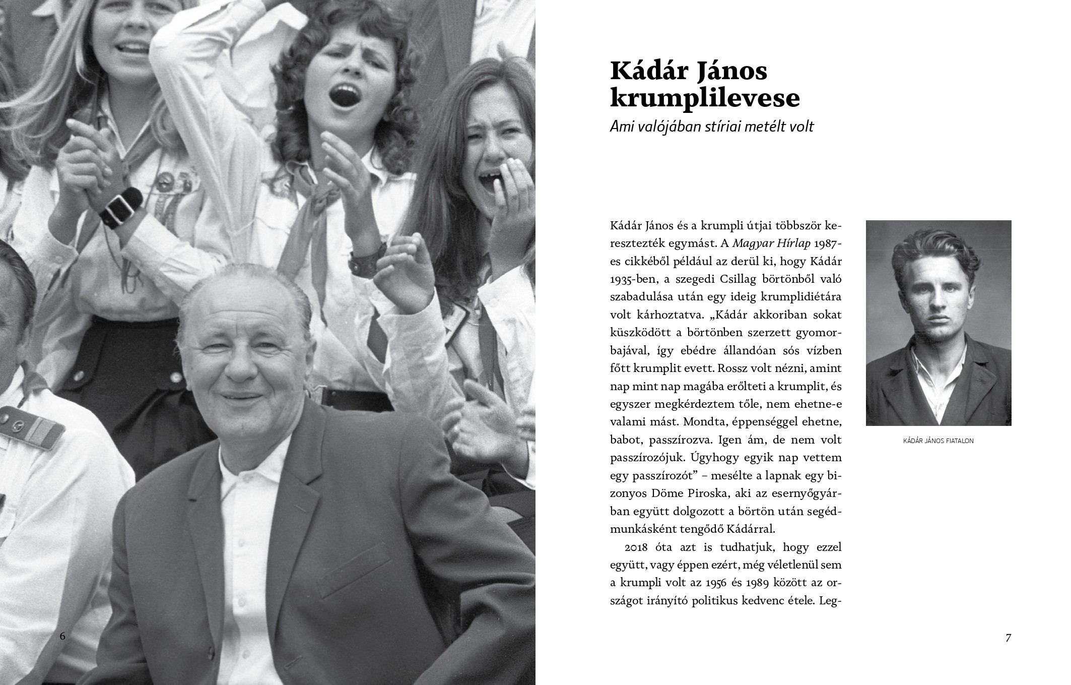 Gasztrorégész – A gulyáskommunizmus konyhája - Image 3